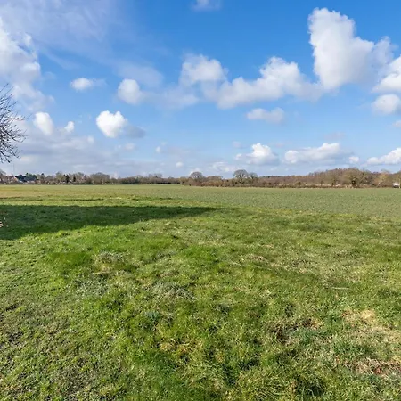 Stunning In With Wifi *